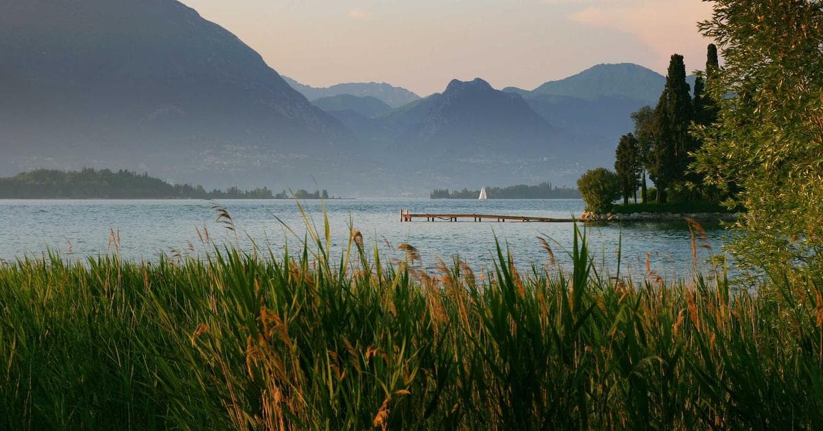 Arrosage du jardin en été avec un tuyau