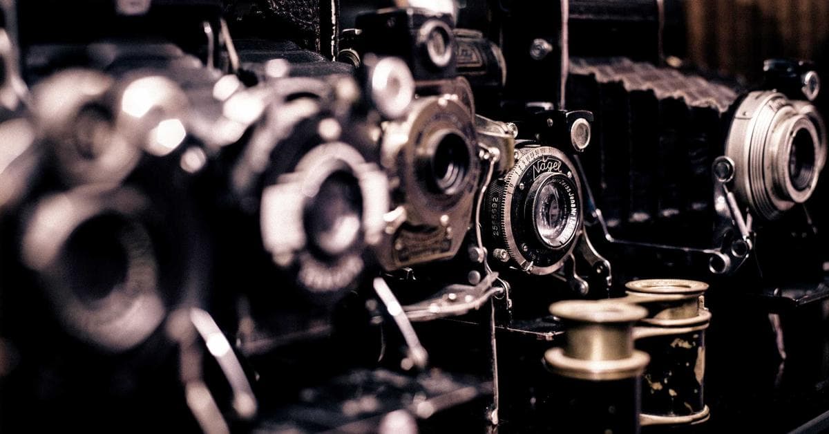 Peintre professionnel réalisant des travaux d'intérieur