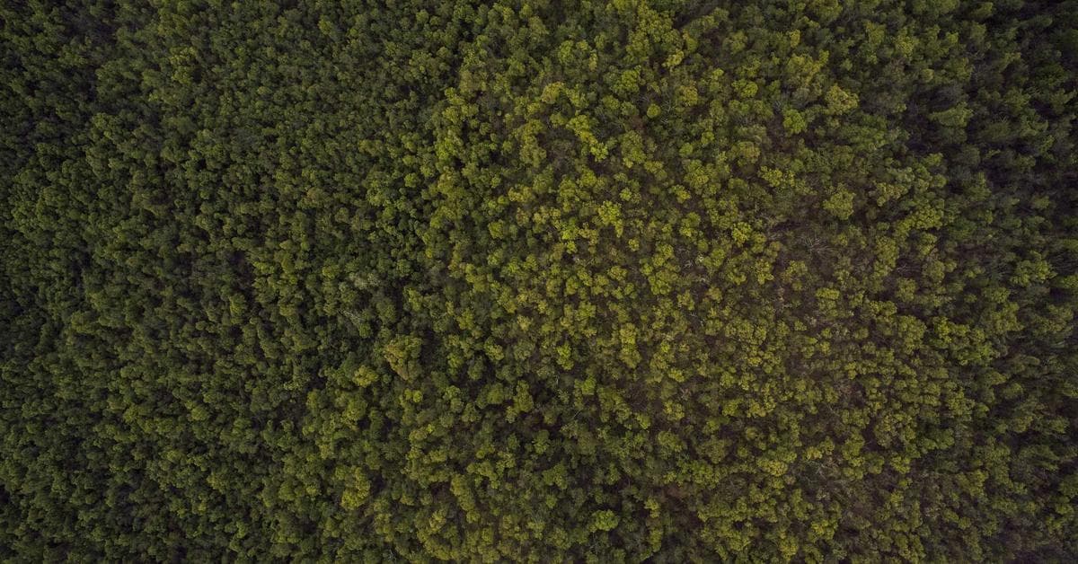 Couvreur établissant un devis toiture