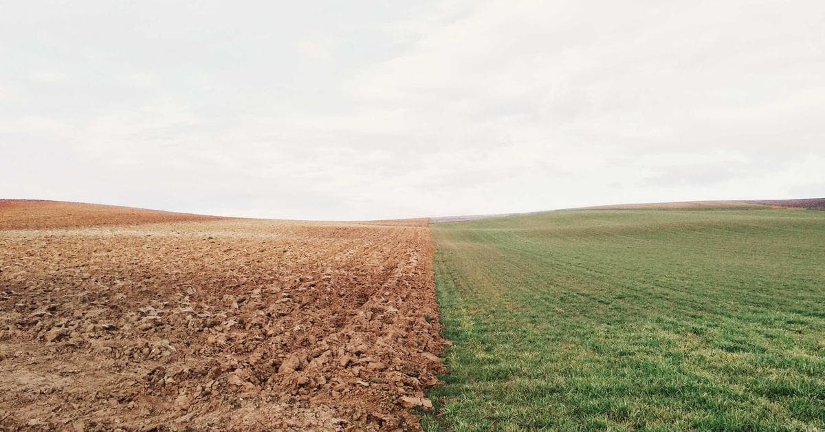 Entretien et maintenance d'une maison individuelle