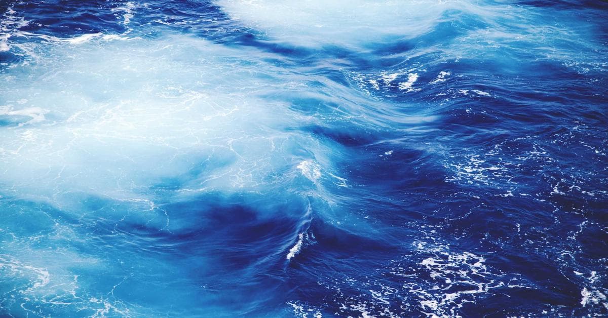 Entretien et huilage d'une terrasse en bois