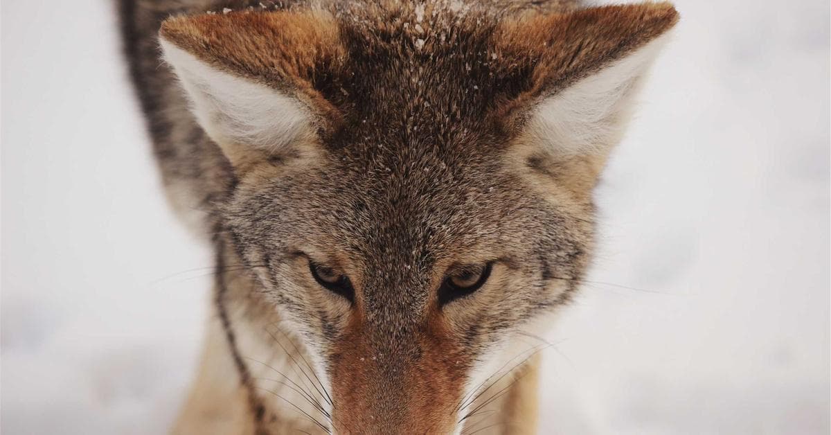 Tableau électrique et installation électrique maison