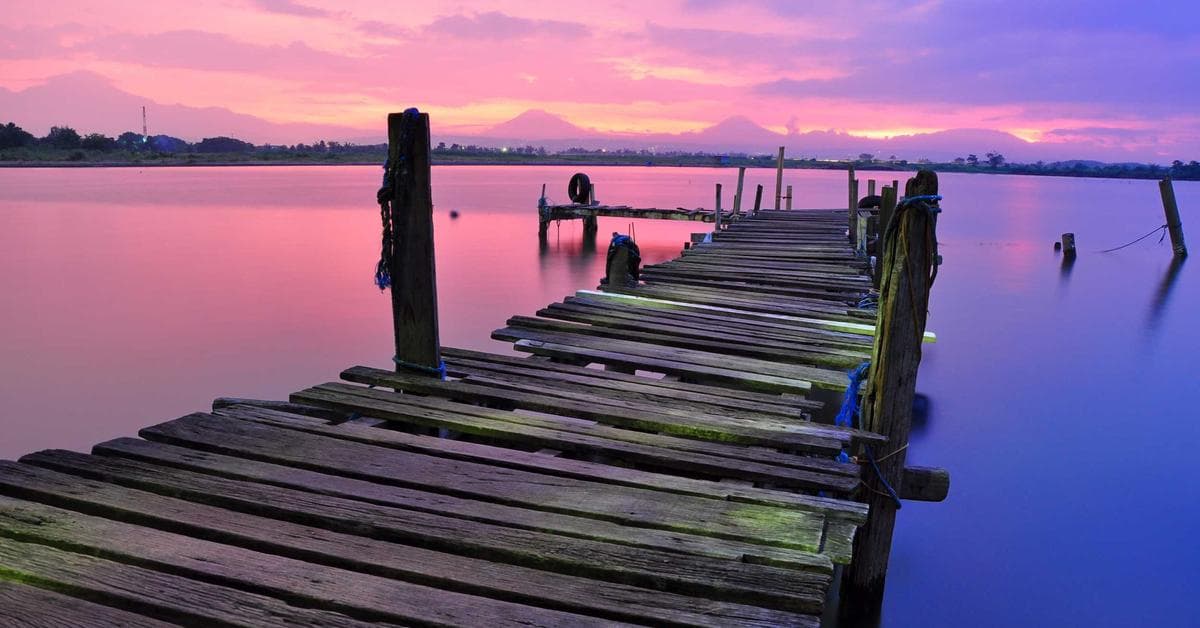 Tuiles de toiture poreuses recouvertes de mousse et lichens